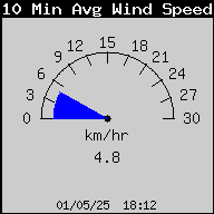 10 min gemiddelde windsnelheid