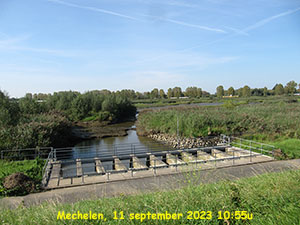 Afbeelding van de dag
