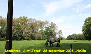 Afbeelding van de dag