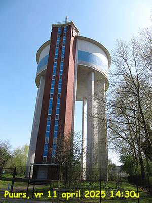 afbeelding van de dag